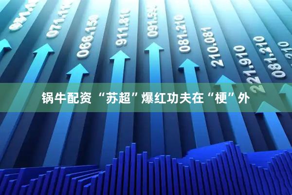 锅牛配资 “苏超”爆红功夫在“梗”外