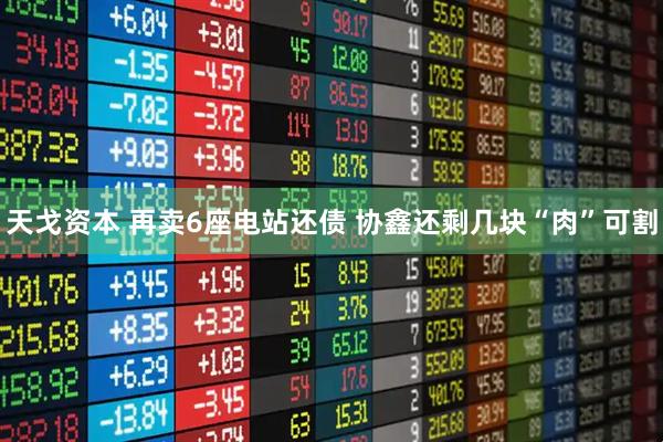 天戈资本 再卖6座电站还债 协鑫还剩几块“肉”可割
