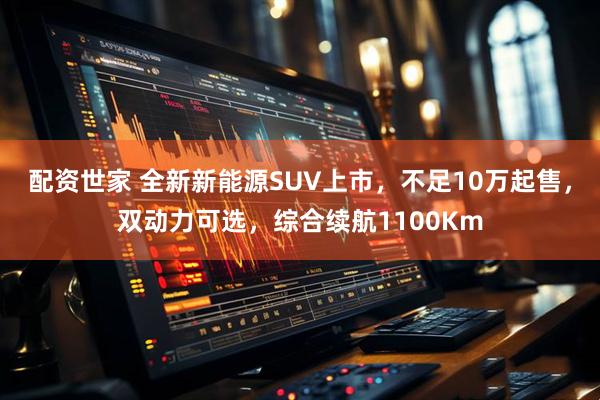 配资世家 全新新能源SUV上市，不足10万起售，双动力可选，综合续航1100Km