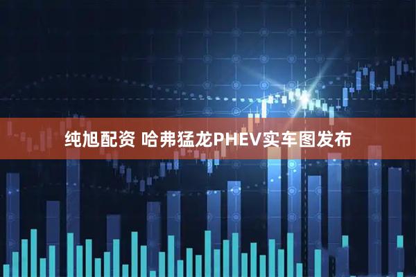 纯旭配资 哈弗猛龙PHEV实车图发布