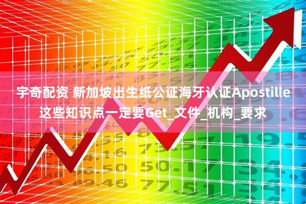 宇奇配资 新加坡出生纸公证海牙认证Apostille这些知识点一定要Get_文件_机构_要求