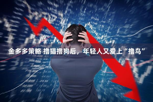 金多多策略 撸猫撸狗后，年轻人又爱上“撸鸟”