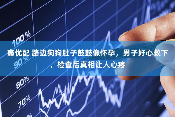 鑫优配 路边狗狗肚子鼓鼓像怀孕，男子好心救下，检查后真相让人心疼