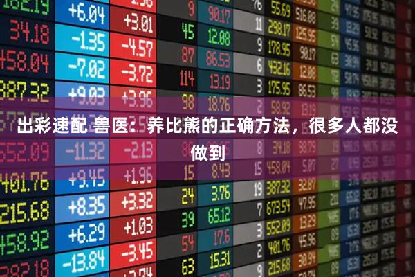 出彩速配 兽医：养比熊的正确方法，很多人都没做到